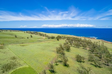 Beach Acreage For Sale in Hawi, Hawaii