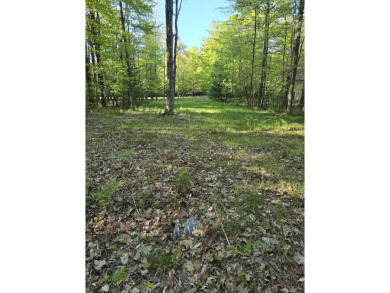 Beach Lot For Sale in Pentwater, Michigan