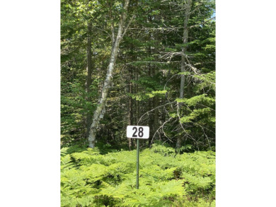 Beach Lot For Sale in Paradise, Michigan