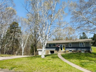 Home For Sale in Duluth image photo picture