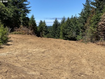 Beach Acreage Off Market in Port Orford, Oregon