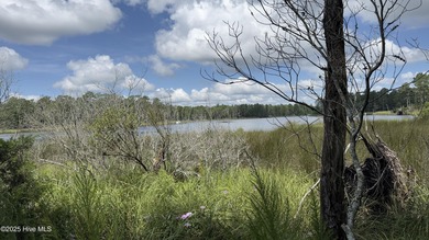 Beach Acreage For Sale in Belhaven, North Carolina