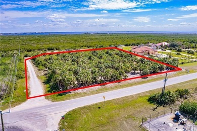 Beach Commercial For Sale in Port Charlotte, Florida