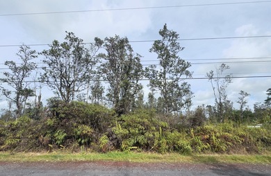 Beach Lot For Sale in Pahoa, Hawaii