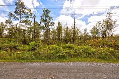 Beach Acreage For Sale in Volcano, Hawaii