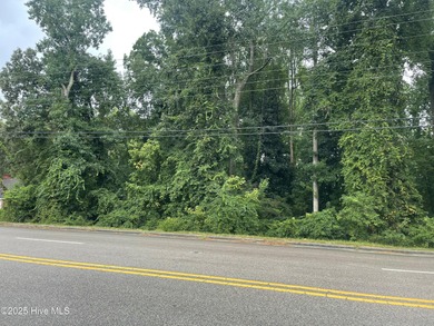 Beach Lot For Sale in Washington, North Carolina