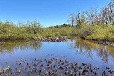 Beach Lot For Sale in Trout Lake, Michigan