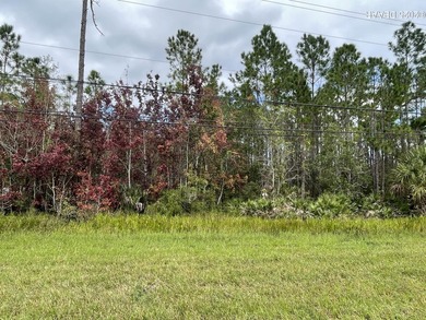 Beach Lot For Sale in Daytona Beach, Florida