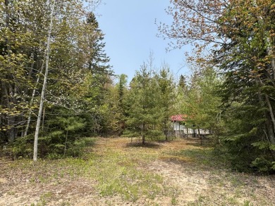 Beach Lot For Sale in Paradise, Michigan