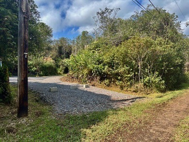 Beach Lot For Sale in Volcano, Hawaii