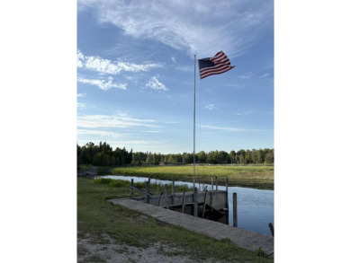 Beach Lot For Sale in Cedarville, Michigan