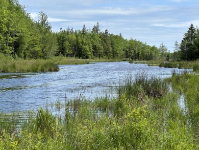 Beach Acreage Off Market in Franklin, Maine