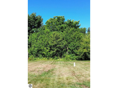 Beach Lot For Sale in Leland, Michigan