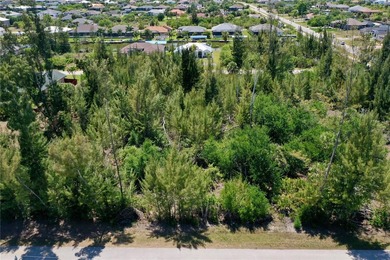 Beach Lot For Sale in Port Charlotte, Florida