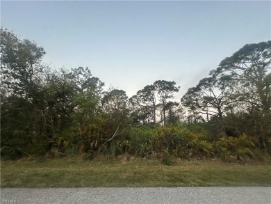 Beach Lot For Sale in Englewood, Florida