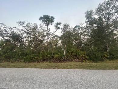 Beach Lot For Sale in Englewood, Florida