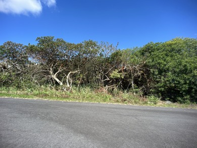 Beach Lot For Sale in Naalehu, Hawaii