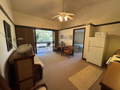 Beach Condo For Sale in Hilo, Hawaii