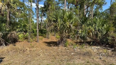 Beach Lot For Sale in Port Charlotte, Florida
