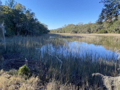 Beach Acreage For Sale in Yonges Island, South Carolina