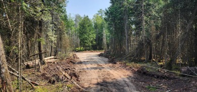 Beach Lot For Sale in Hessel, Michigan