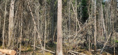 Beach Lot For Sale in Hessel, Michigan