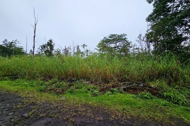 Beach Acreage For Sale in Kurtistown, Hawaii