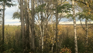 Beach Lot For Sale in Sault Sainte Marie, Michigan