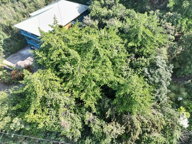 Beach Lot For Sale in Captain Cook, Hawaii