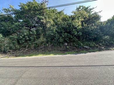 Beach Lot For Sale in Captain Cook, Hawaii