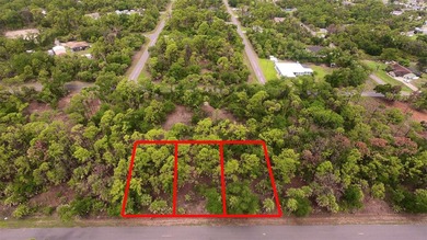 Beach Lot For Sale in Port Charlotte, Florida