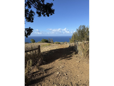 Beach Acreage For Sale in Honokaa, Hawaii