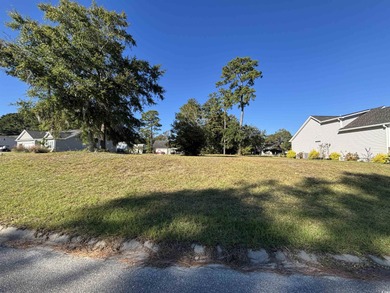 Beach Lot For Sale in Georgetown, South Carolina