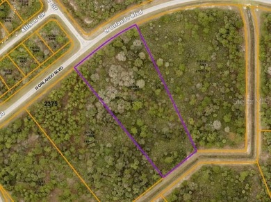 Beach Acreage Sale Pending in North Port, Florida