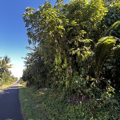 Beach Lot For Sale in Pahoa, Hawaii