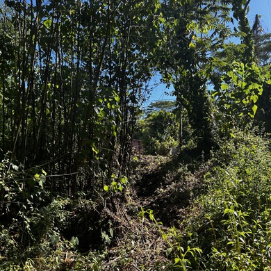 Beach Lot For Sale in Pahoa, Hawaii