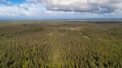 Beach Acreage For Sale in Mountain View, Hawaii