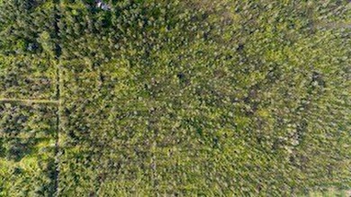 Beach Acreage For Sale in Mountain View, Hawaii