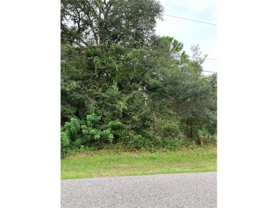 Beach Lot For Sale in Port Charlotte, Florida