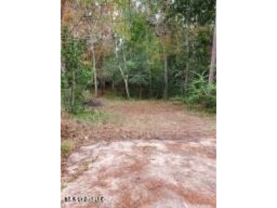 Beach Lot For Sale in Gautier, Mississippi