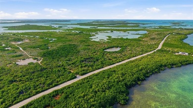 Beach Acreage For Sale in Key Colony Beach, Florida