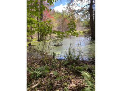 Beach Acreage For Sale in Mcmillan, Michigan