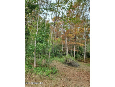 Beach Lot For Sale in Gautier, Mississippi