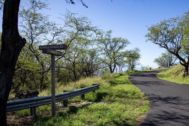 Beach Lot For Sale in Kamuela, Hawaii