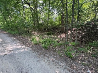 Beach Lot For Sale in New Buffalo, Michigan