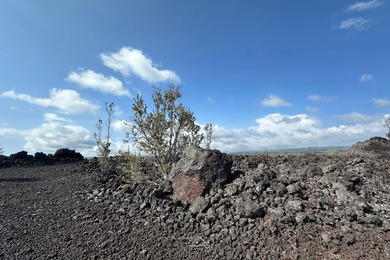 Beach Acreage For Sale in Ocean View, Hawaii