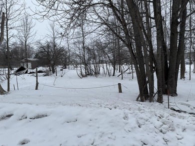 Beach Lot For Sale in Mcmillan, Michigan