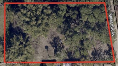 Beach Lot For Sale in Merritt Island, Florida