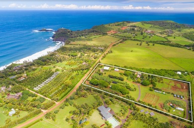 Beach Home For Sale in Kilauea, Hawaii