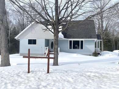 Beach Home For Sale in De Tour Village, Michigan